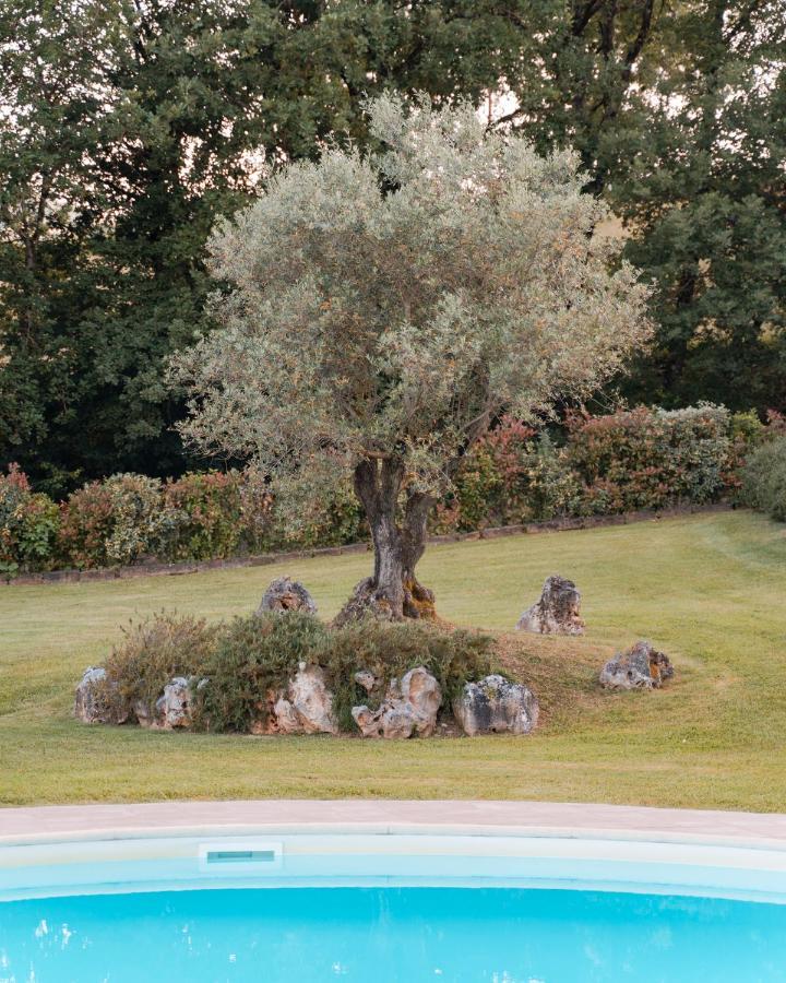 Podere Cerretino Poppi Zewnętrze zdjęcie